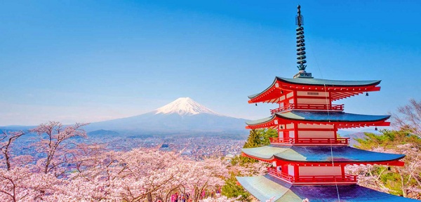 Yamanashi (hoa nở từ độ giữa tháng tư)