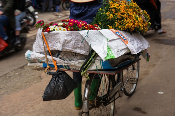 Một phụ nữ bán hoa cúc trên đường phố Hà Nội 